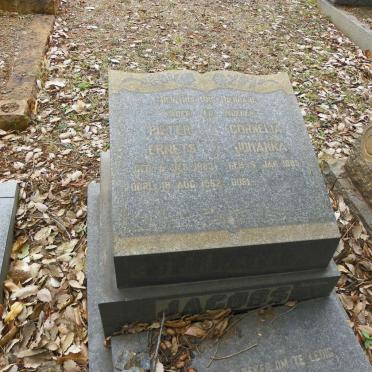 JACOBS Pieter Ernets 1883-1952 &amp; Cornelia Johanna 1885-