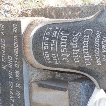 JOOSTE Cornelia Sophia 1904-1968