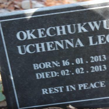 LEO Okechukwu Uchenna 2013-2013