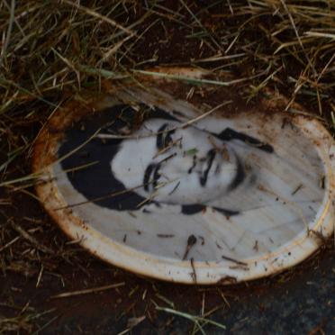 LUZ Manuel Da Silva Vieira, da 1966-1987