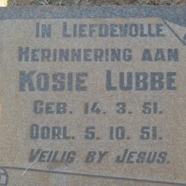 LUBBE Kosie 1951-1951