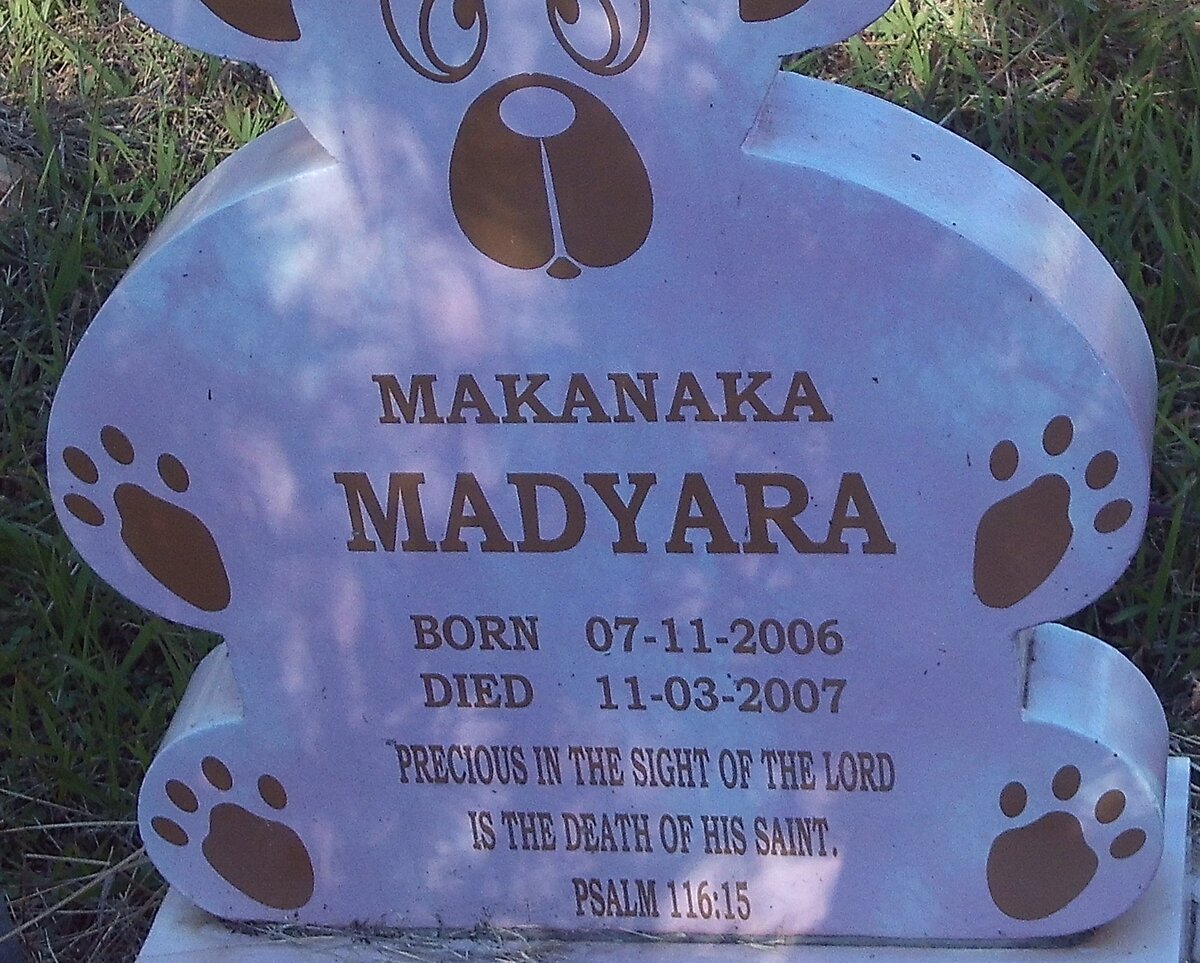 MADYARA Makanaka 2006-2007