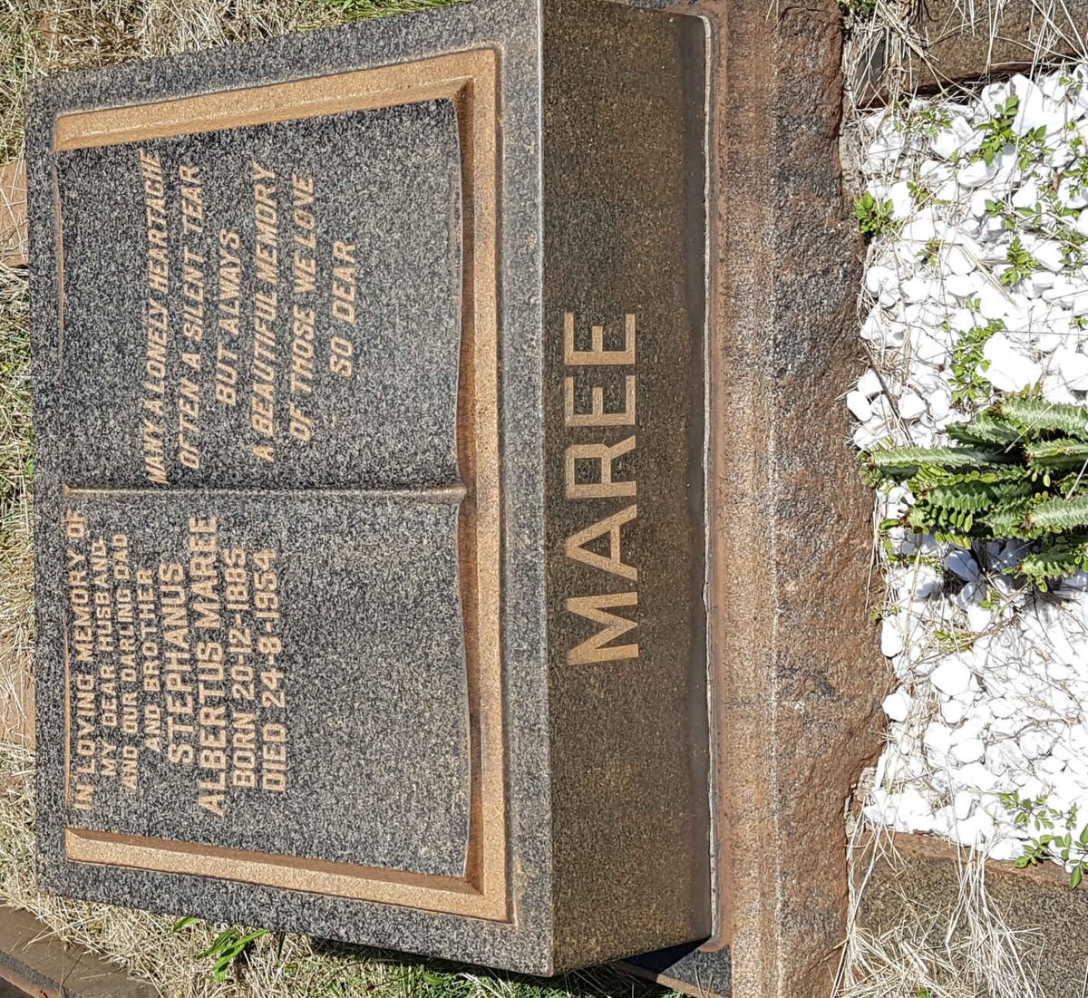 MAREE Stephanus Albertus 1885-1954