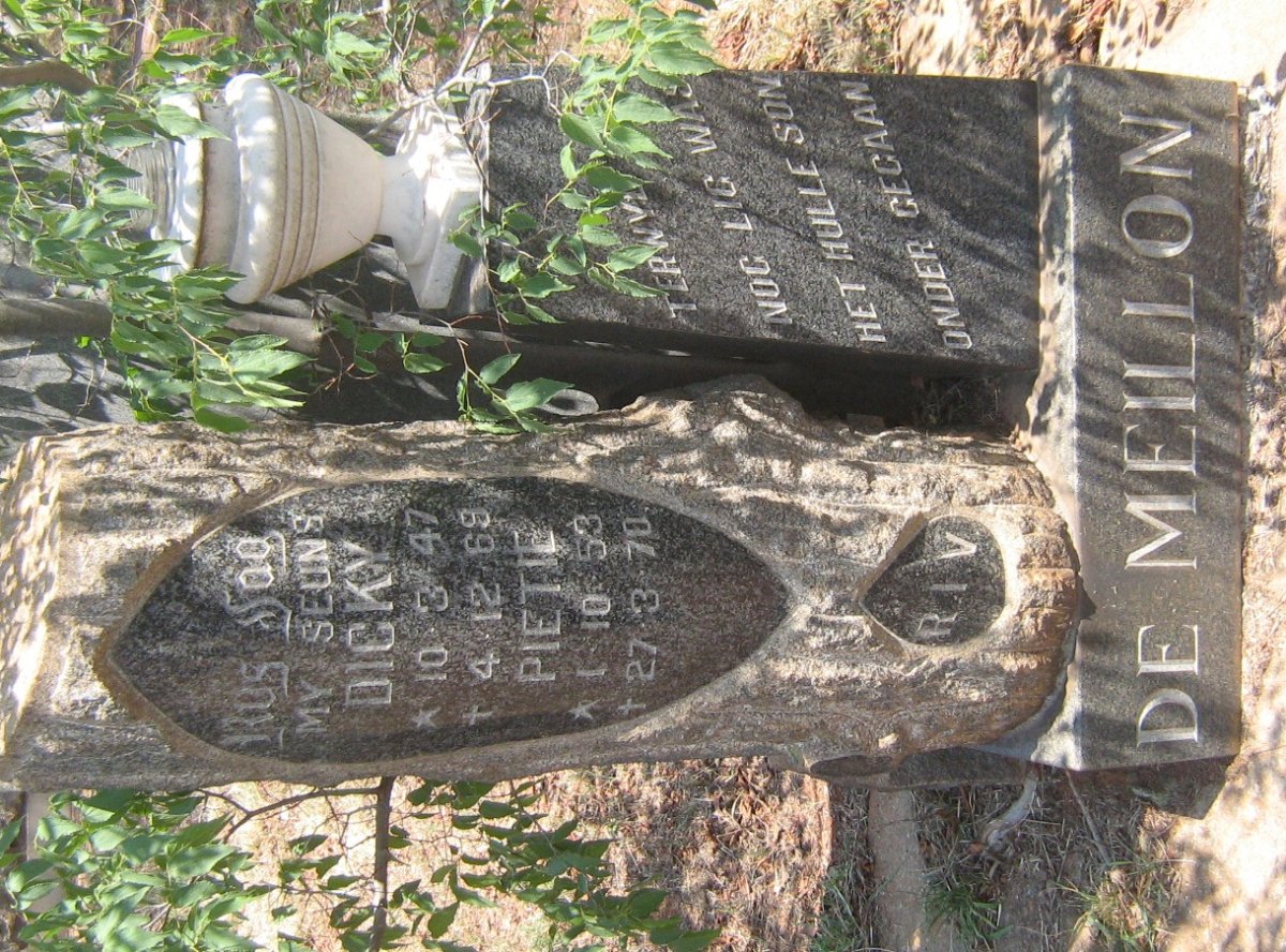 MEILLON Dicky, de 1947-1969 :: DE MEILLON Pietie 1953-1970