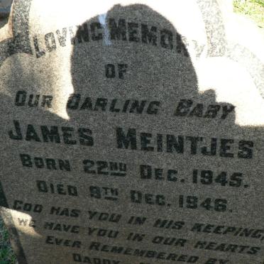 MEINTJES James 1945-1946