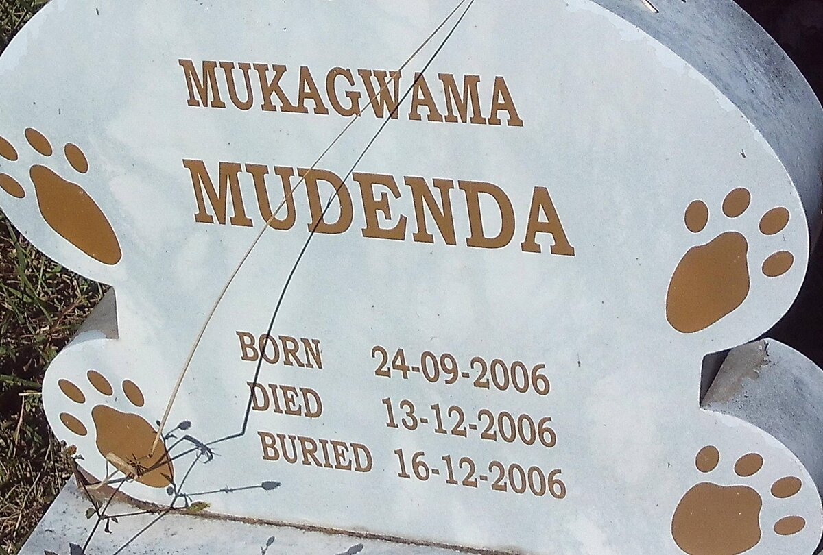MUDENDA Mukagwama 2006-2006