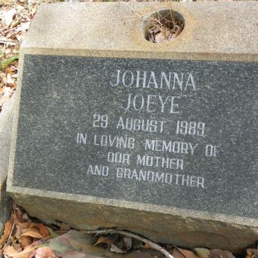 NAUDE David Benjamin -1953 :: NAUDE Johanna -1989