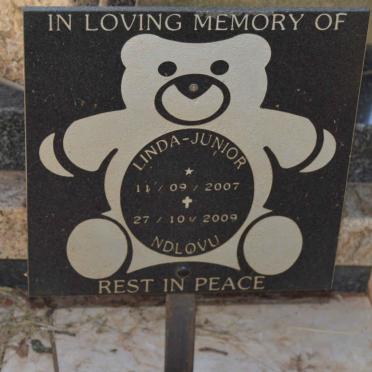 NDLOVU Linda Junior 2007-2009