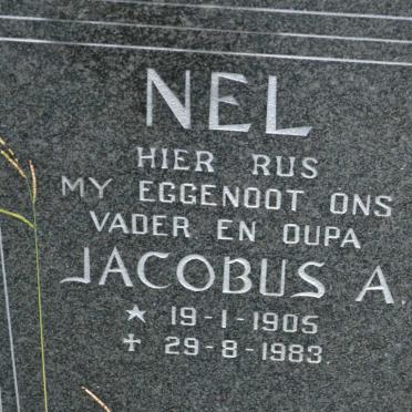 NEL Jacobus A. 1905-1983
