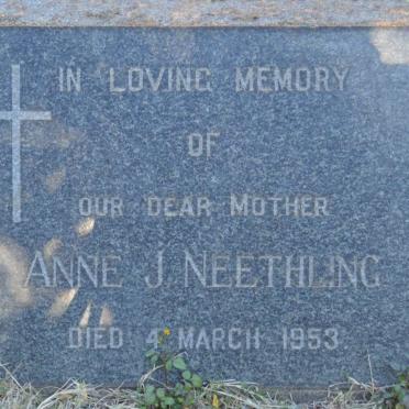 NEETHLING Anne J. -1953