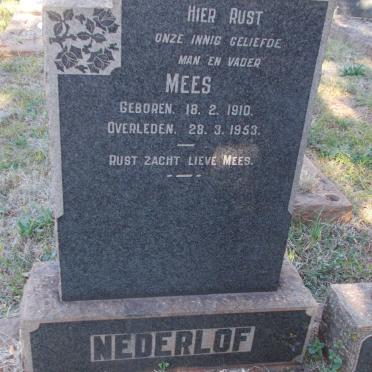 NEDERLOF Mees 1910-1953