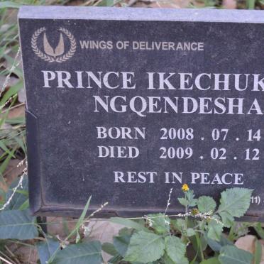 NGQENDESHA Prince Ikechukwu 2008-2009