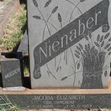NIENABER Jacoba Elizabeth nee HANEKOM 1886-1965