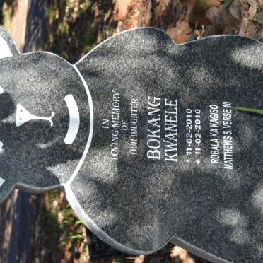 NTOAGAE Bokang Kwanele 2010-2010