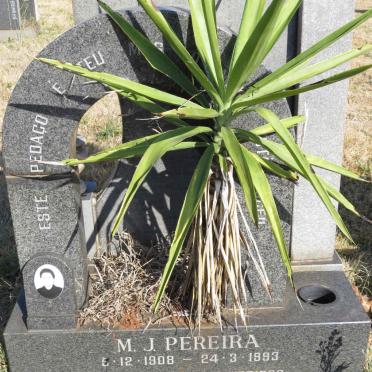 PEREIRA M.J. 1908-1993
