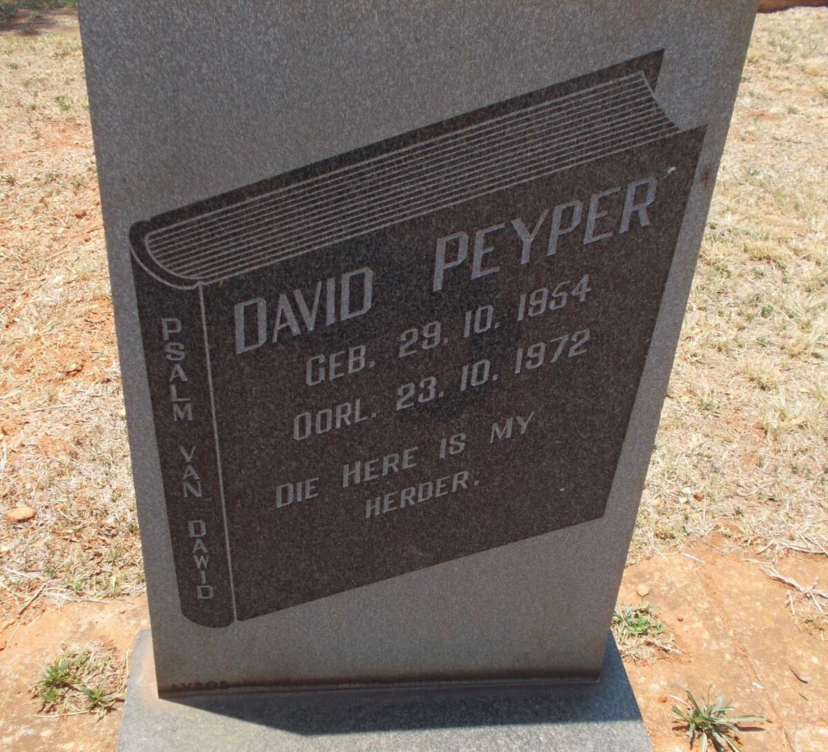 PEYPER David 1954-1972