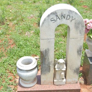 PIETERS Sandy 1972-1974