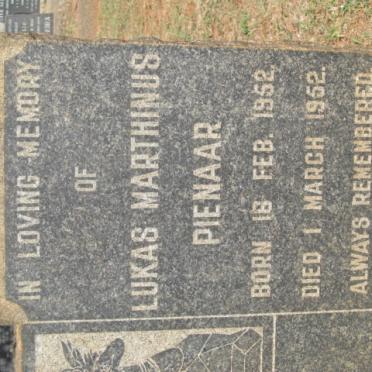 PIENAAR Lukas Marthinus 1952-1952