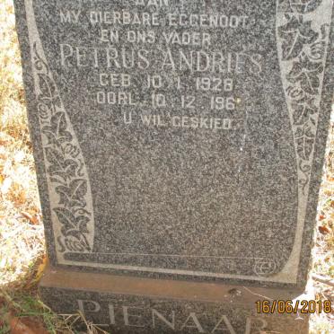 PIENAAR Petrus Andries 1928-196?
