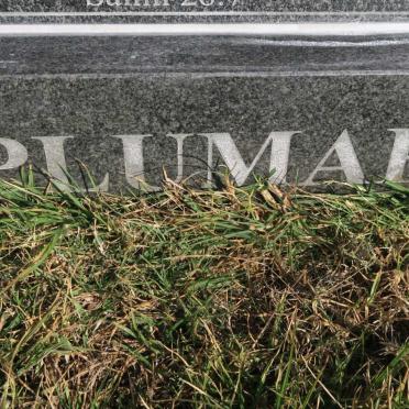 PLUMARI Vito 1929-2004 &amp; Francesca 1932-2007