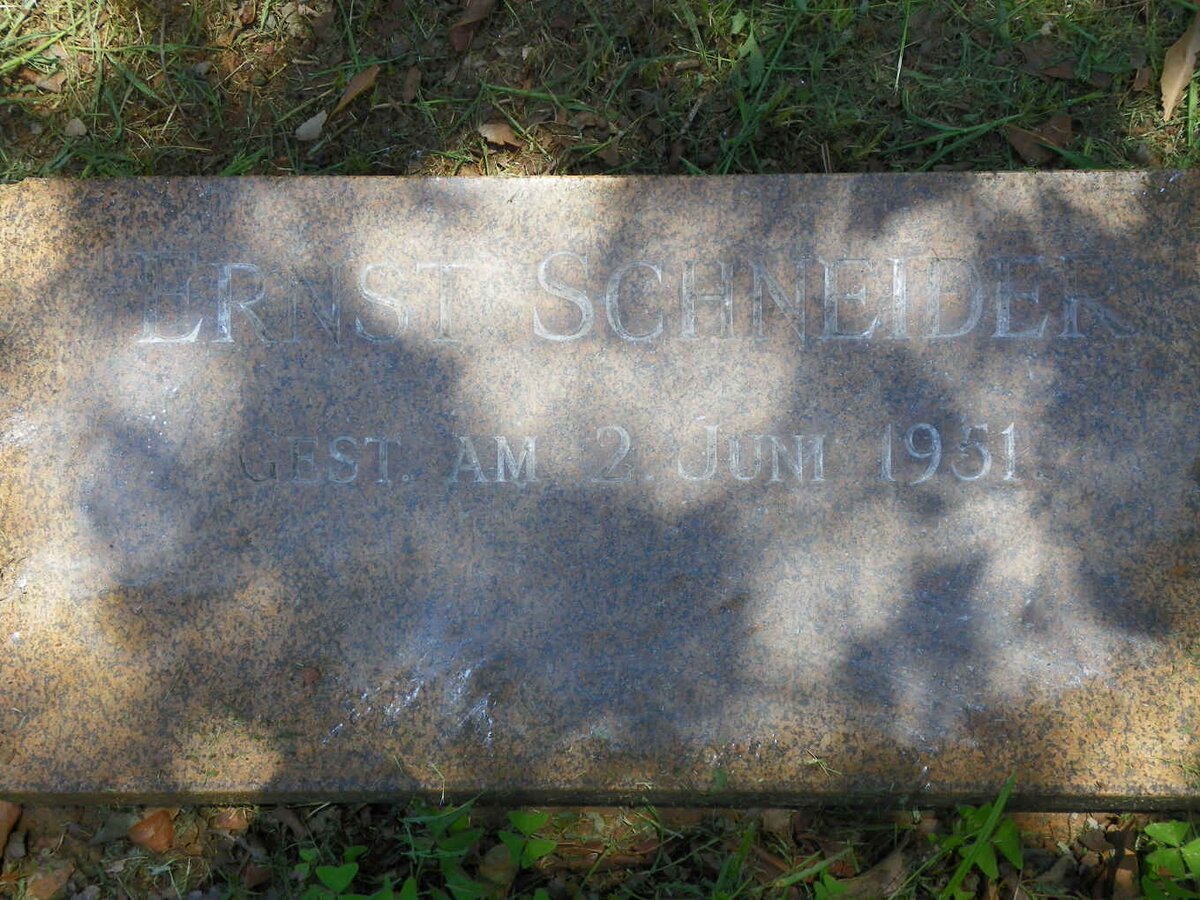 SCHNEIDER Ernst -1951