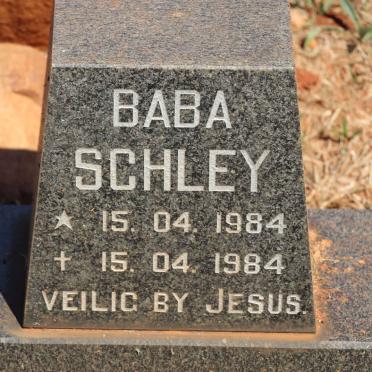 SCHLEY 1984-1984