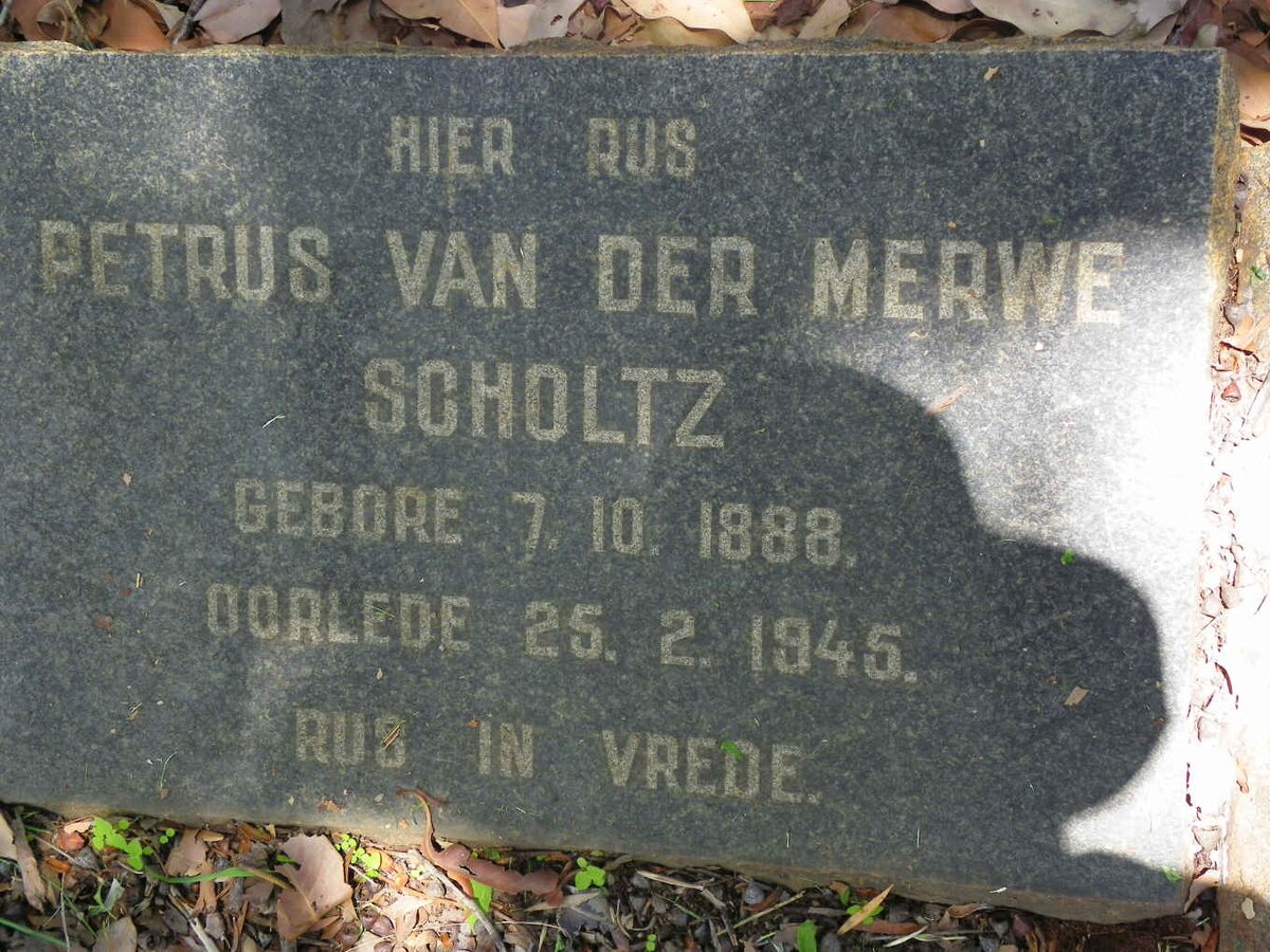 SCHOLTZ Petrus van der Merwe 1888-1945