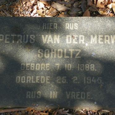 SCHOLTZ Petrus Van Der Merwe 1888-1945