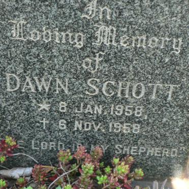 SCHOTT Dawn 1958-1958