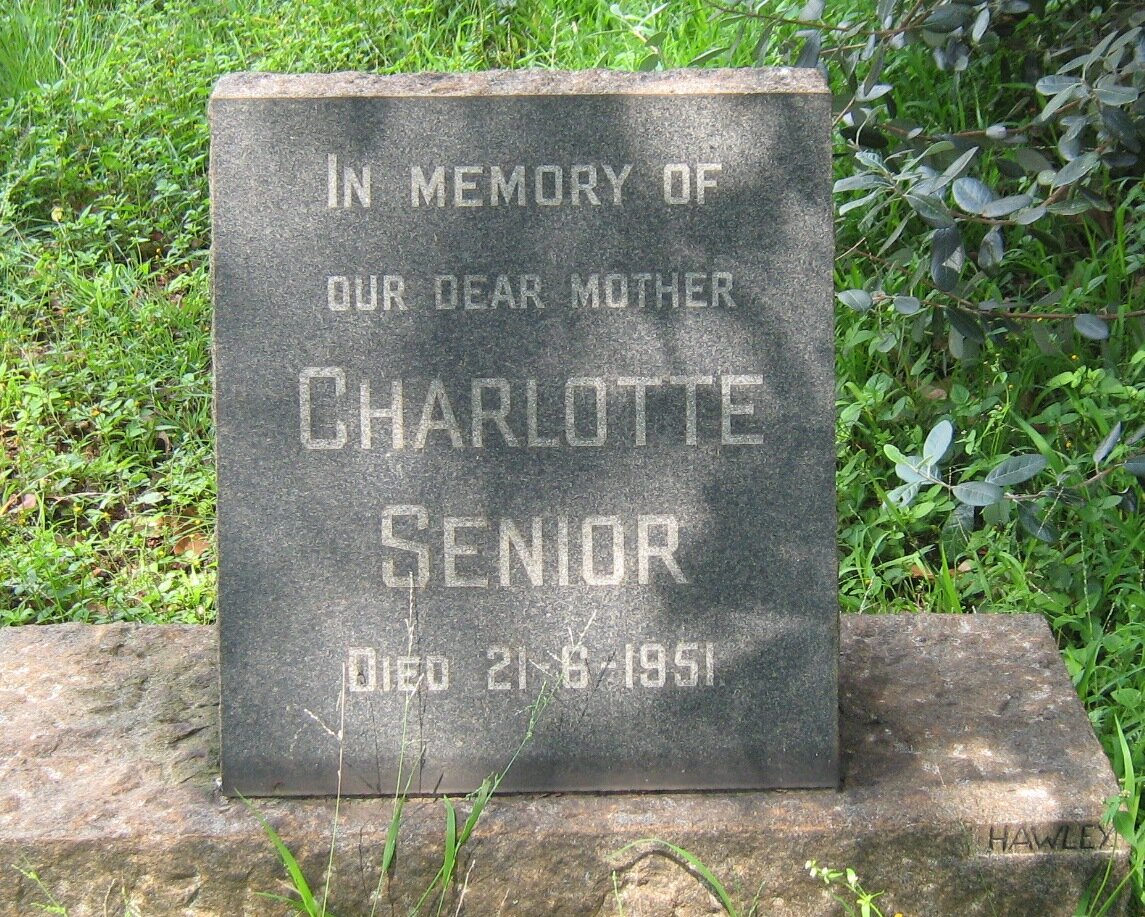 SENIOR Charlotte -1951