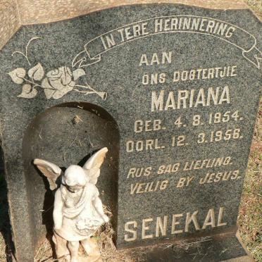 SENEKAL Mariana 1954-1956