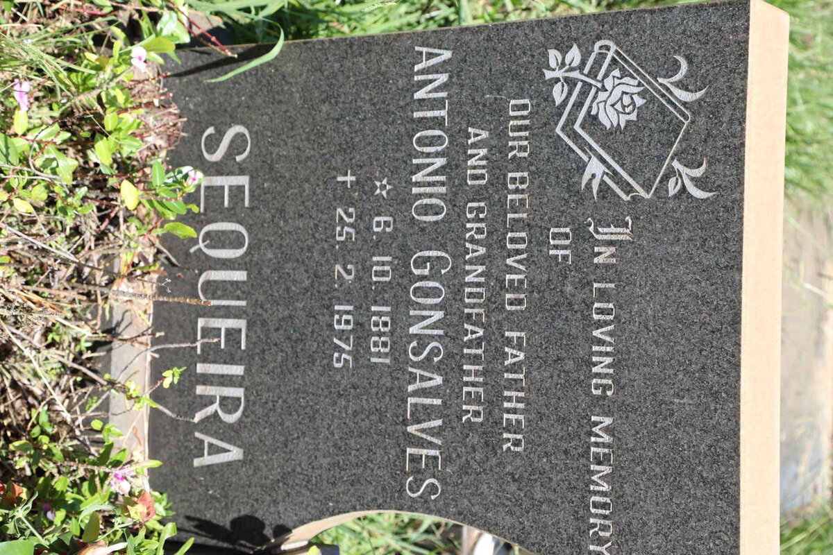 SEQUEIRA  Antonio Gonsalves 1881-1975