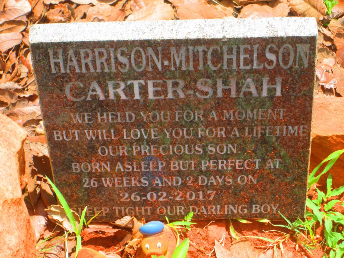 SHAH Harrison-Mitchelson, CARTER -2017