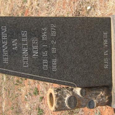 STADEN Cornelius, van 1945-1972