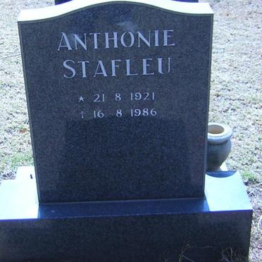 STAFLEU Anthonie 1921-1986