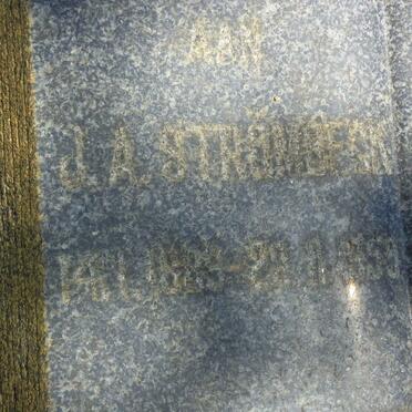 STROMBECK J.A. 1889-1959