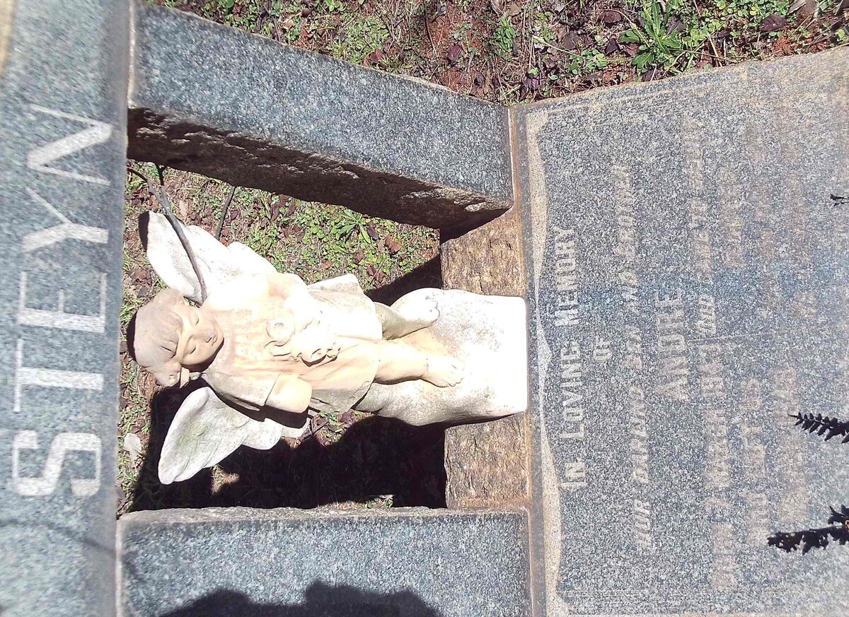 STEYN Andre 1943-1948