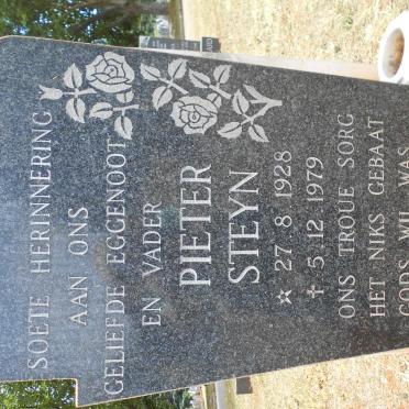STEYN Pieter 1928-1979