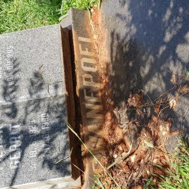 SWANEPOEL Pieter Gerrit 1929-1990