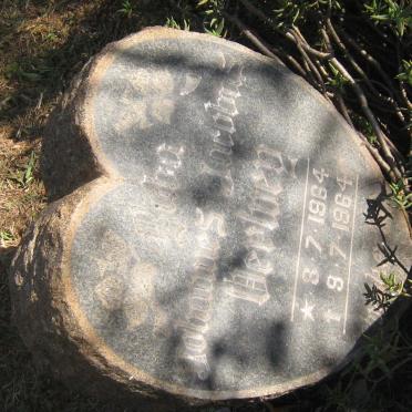 VERWEY Johannes Jacobus 1964-1964