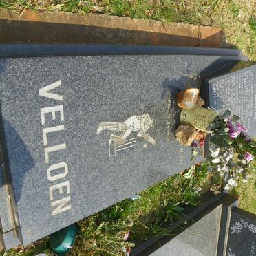 VELLOEN Francoius 1975-1997