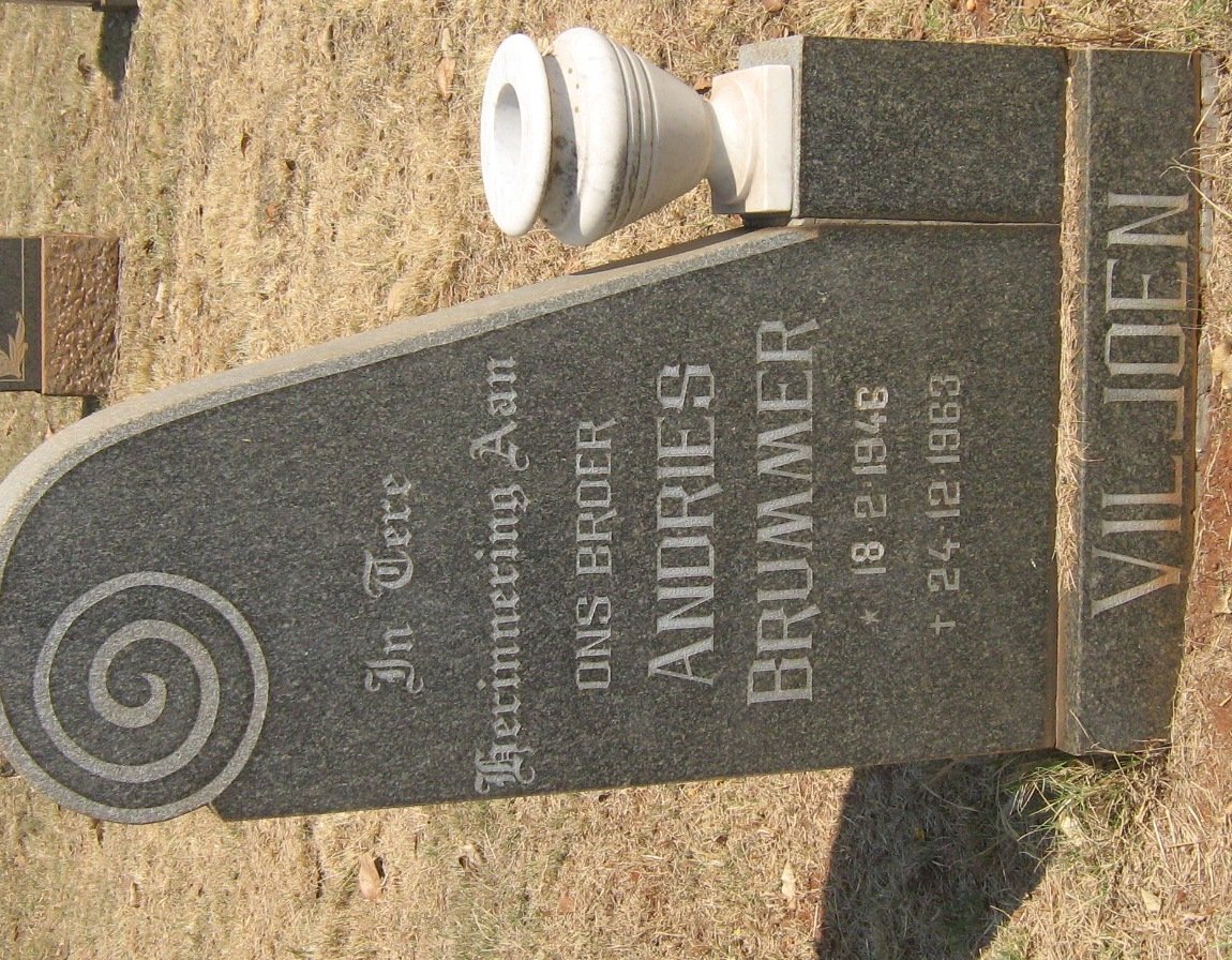 VILJOEN Andries Brummer 1946-1963