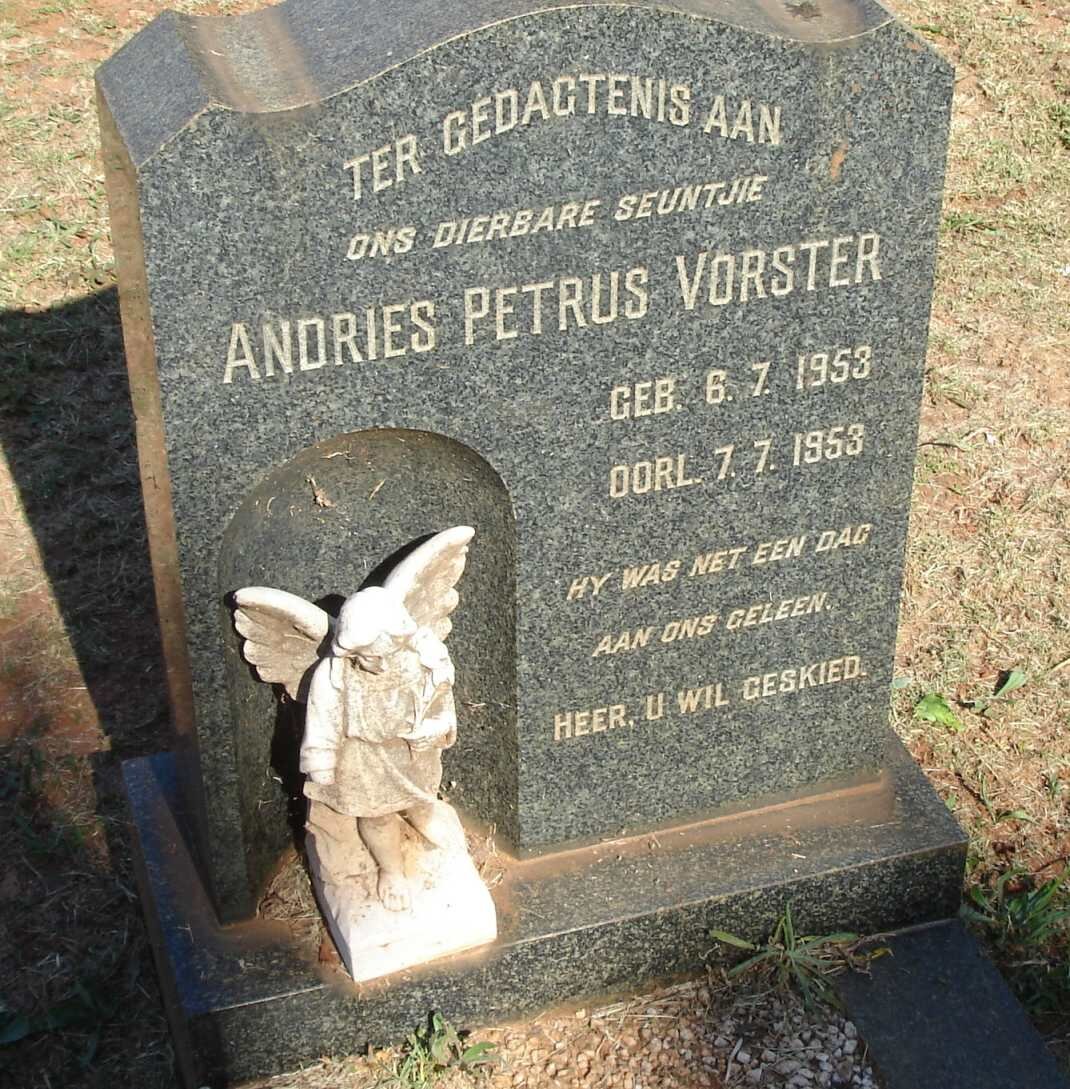 VORSTER Andries Petrus 1953-1953