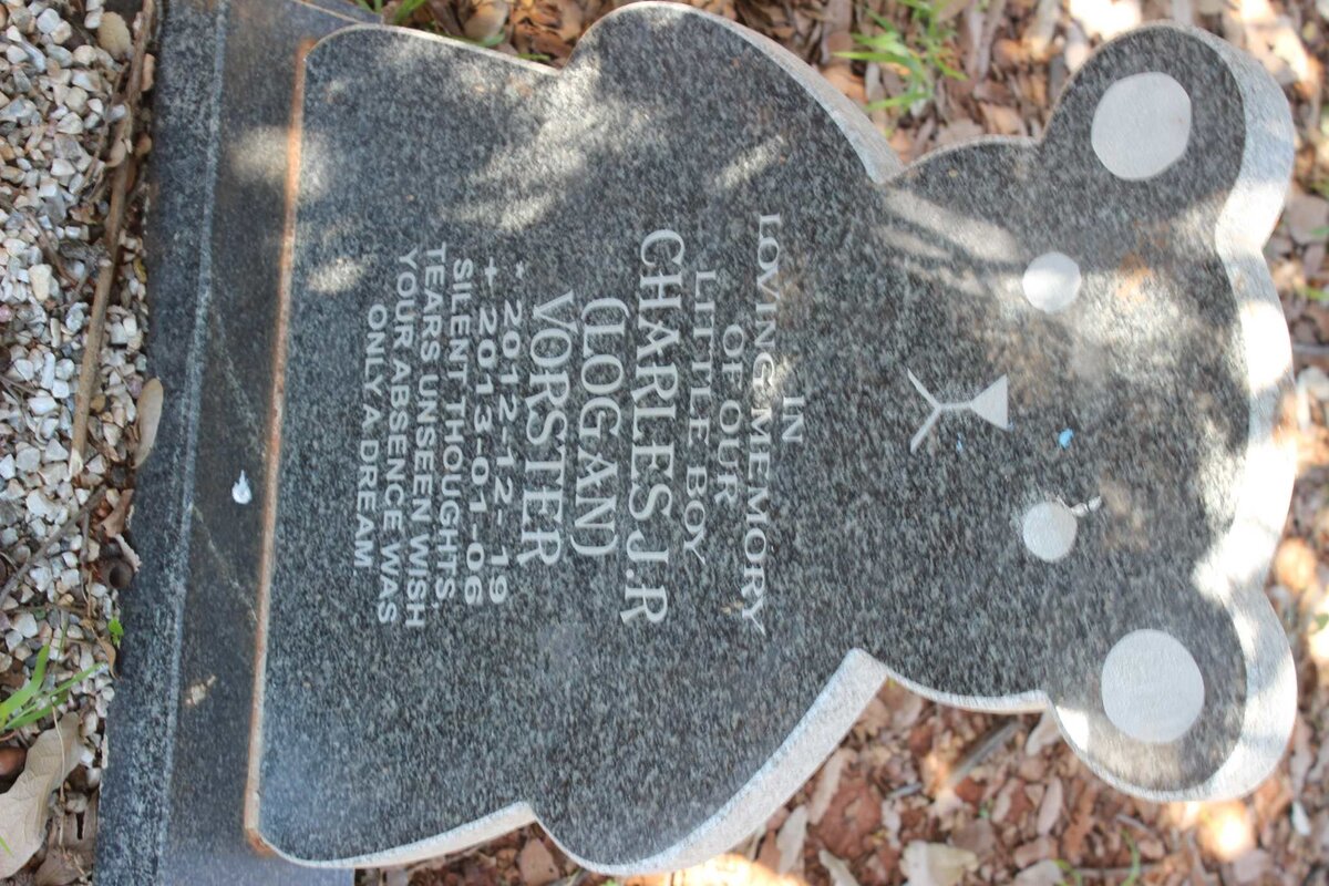 VORSTER Charles J.R. 2012-2013