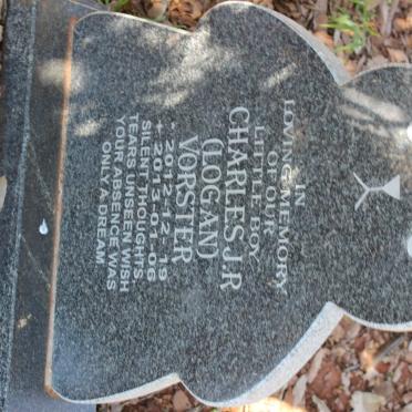 VORSTER Charles J.R. 2012-2013