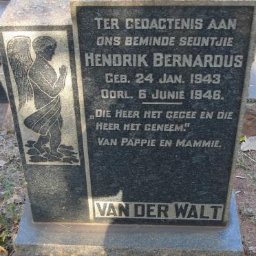 WALT, van der - All surnames :: VAN DER WALT vanne
