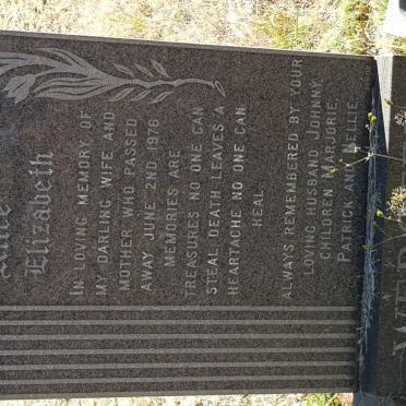 WEBSTER Alice Elizabeth nee HURFORD -1976