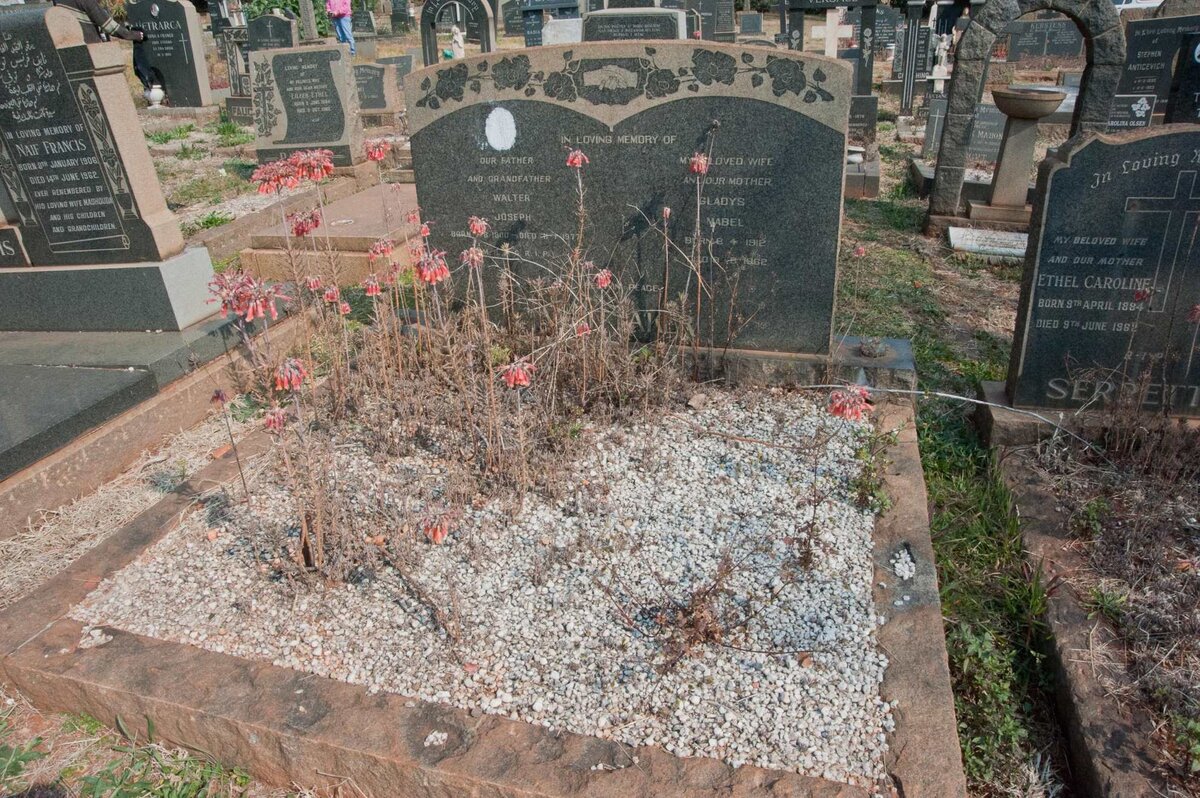 WHITTAKER Walter Joseph 1900-1977 &amp; Gladys Mabel 1912-1962