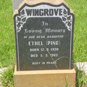 WINGROVE Ethel 1930-1962