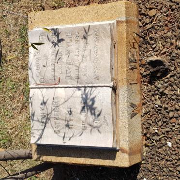 WYLIE David -1946 &amp; Jemima Catherine -1960